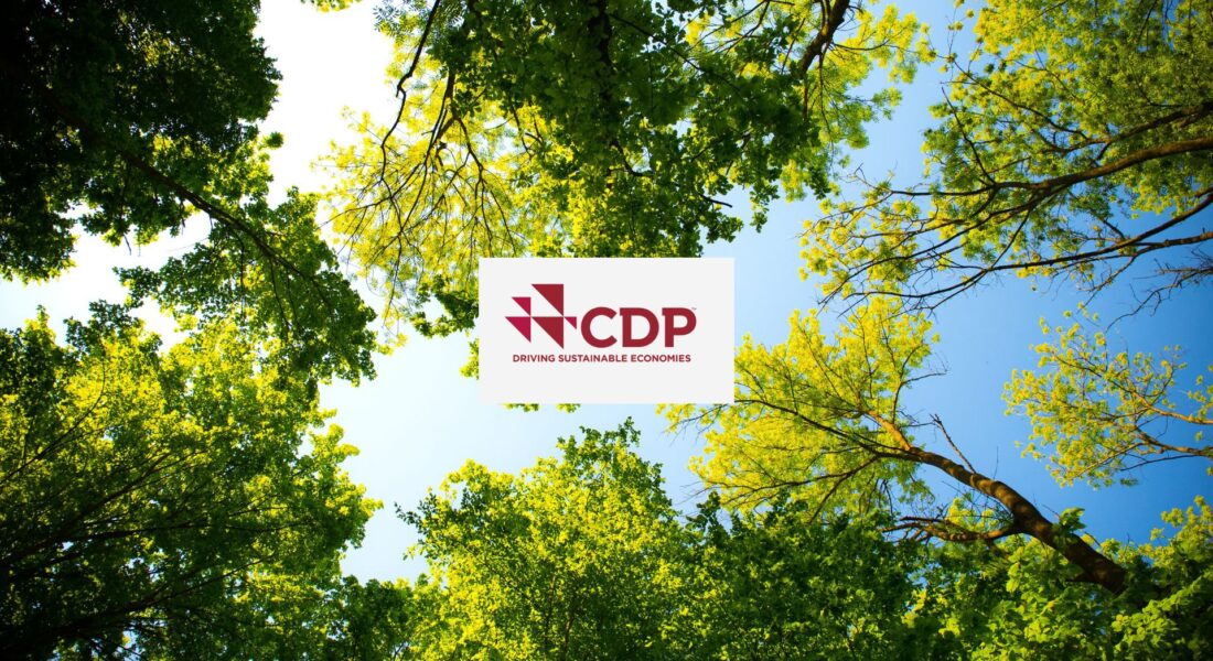 Financial Institutions Managing $142 Trillion Demand Enhanced Climate and Nature Data; CDP Launches New Disclosure Platform