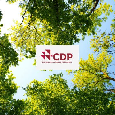 Financial Institutions Managing $142 Trillion Demand Enhanced Climate and Nature Data; CDP Launches New Disclosure Platform